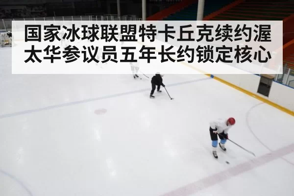 国家冰球联盟特卡丘克续约渥太华参议员五年长约锁定核心