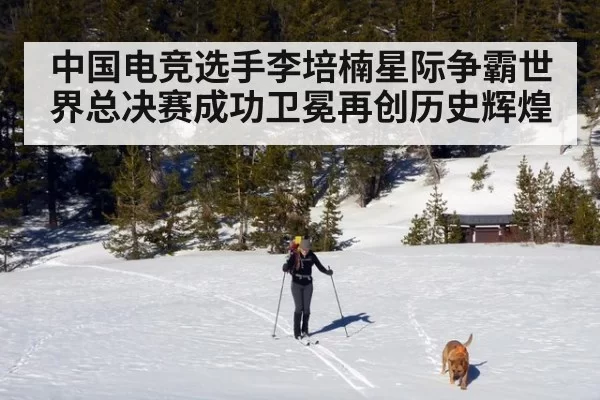 中国电竞选手李培楠星际争霸世界总决赛成功卫冕再创历史辉煌